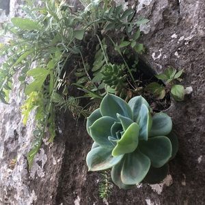 Meet your Posher, Monique